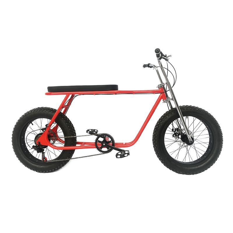 20 inch 7 Speed chopper bike